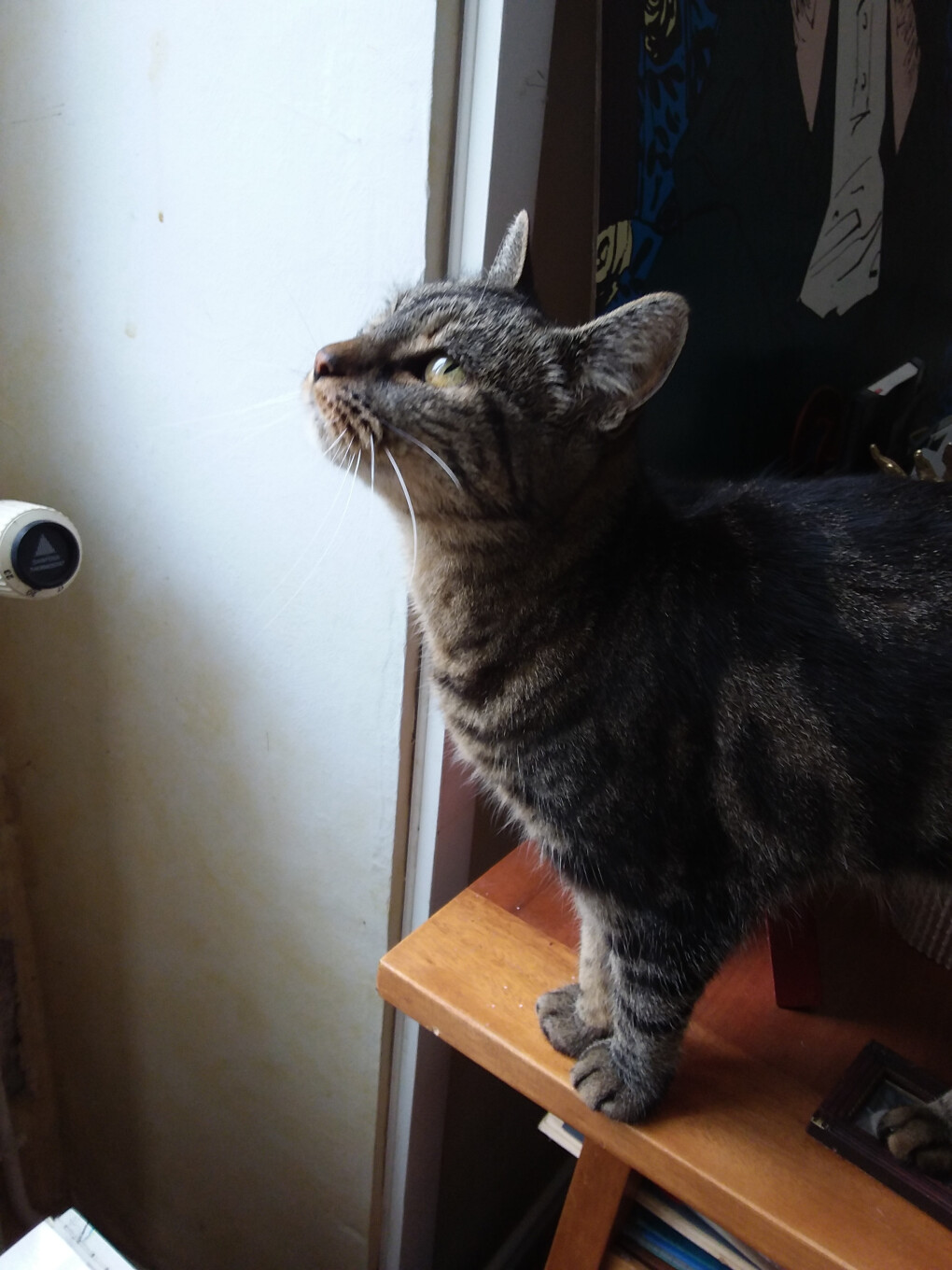 6125668.jpg 6125668.jpg