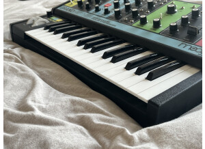 Moog Music Grandmother (54310)