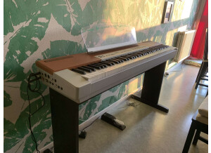 Yamaha P-120 (62842)