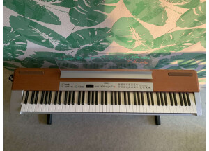 Yamaha P-120 (10613)