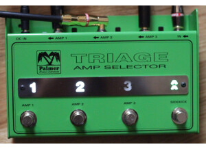 Palmer Triage - Amp Selector