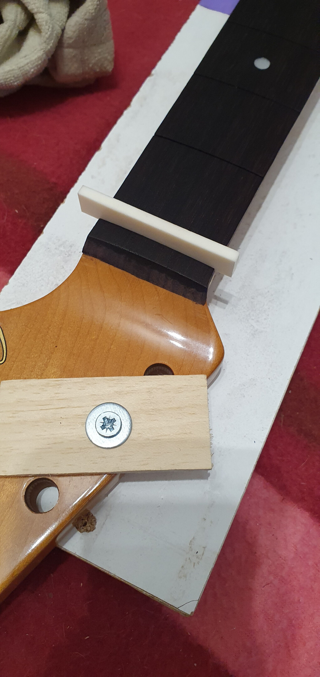 6126818.jpg 6126818.jpg