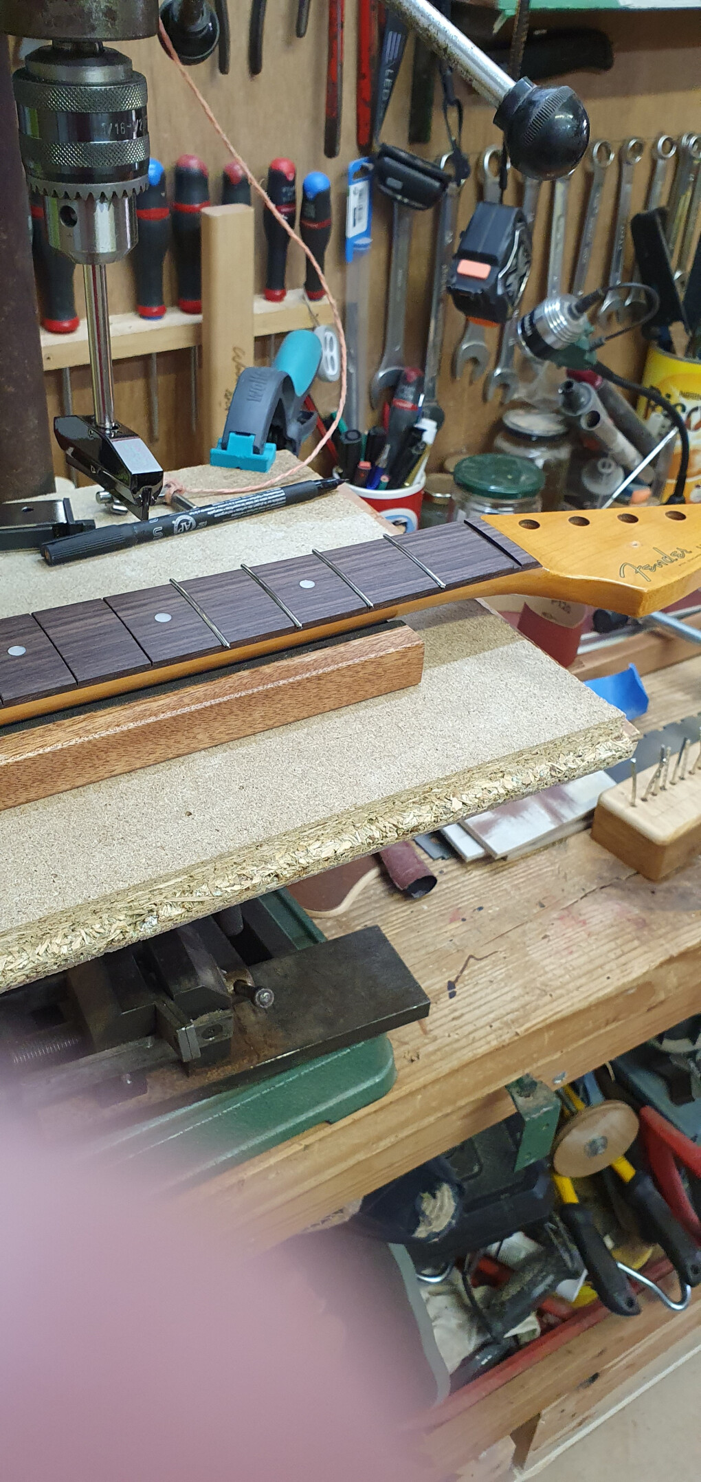 6126819.jpg 6126819.jpg