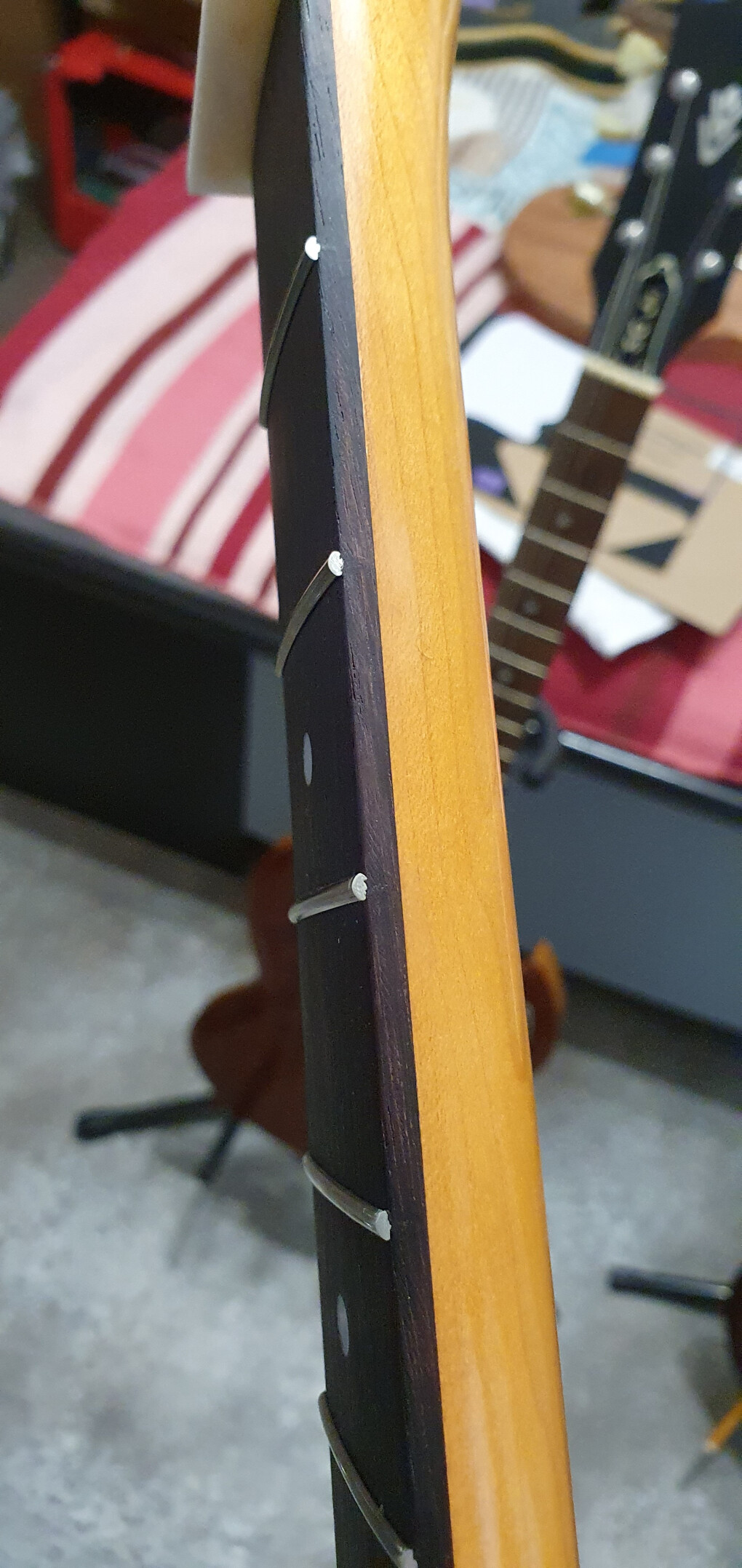 6126821.jpg 6126821.jpg