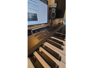 Native Instruments Komplete Kontrol S61 mk2 (88503)