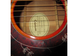 Epiphone Hummingbird Pro (49134)