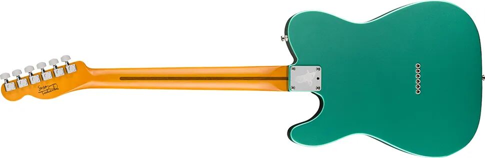 Susan Tedeschi TelecasterBACK