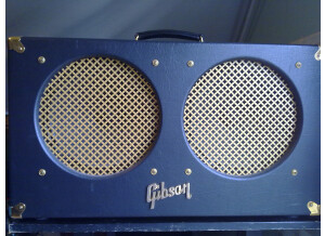 Gibson Goldtone GA-30RVS