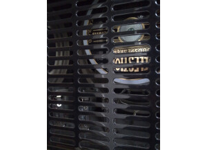 Gibson Goldtone GA-30RVS