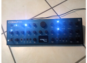 Modal Electronics Cobalt8M (23829)