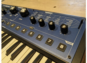 PXL 20240613 164857468