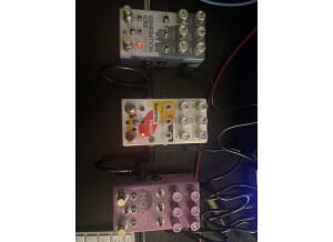 Chase Bliss Audio Reverse Mode C (45767)