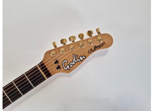 Godin Acousticaster LR Baggs (625)