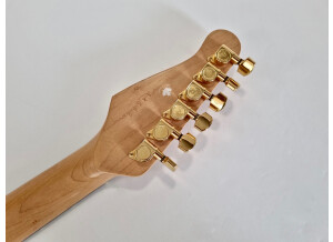 Godin Acousticaster LR Baggs (5161)