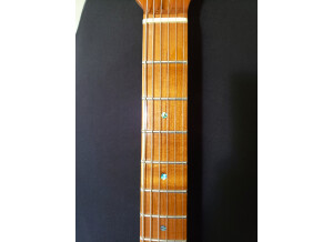 Sire Larry Carlton T7 (33039)