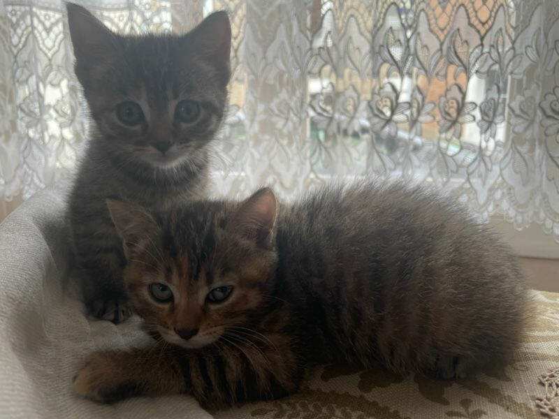 6133017.jpg 6133017.jpg