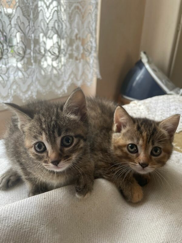 6133018.jpg 6133018.jpg