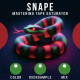 Snape Mastering Tape Saturator Snape Mastering Tape Saturator