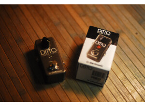 TC Electronic Ditto Looper (88457)