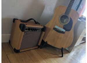 Cort Earth100 (72447)