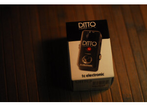 TC Electronic Ditto Looper (81910)