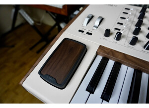 PolyBrute-12 2tof 08 Morphée