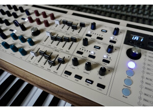 PolyBrute-12 2tof 10 Env LFO