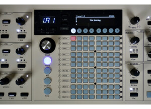 PolyBrute-12 2tof 15 Matrice