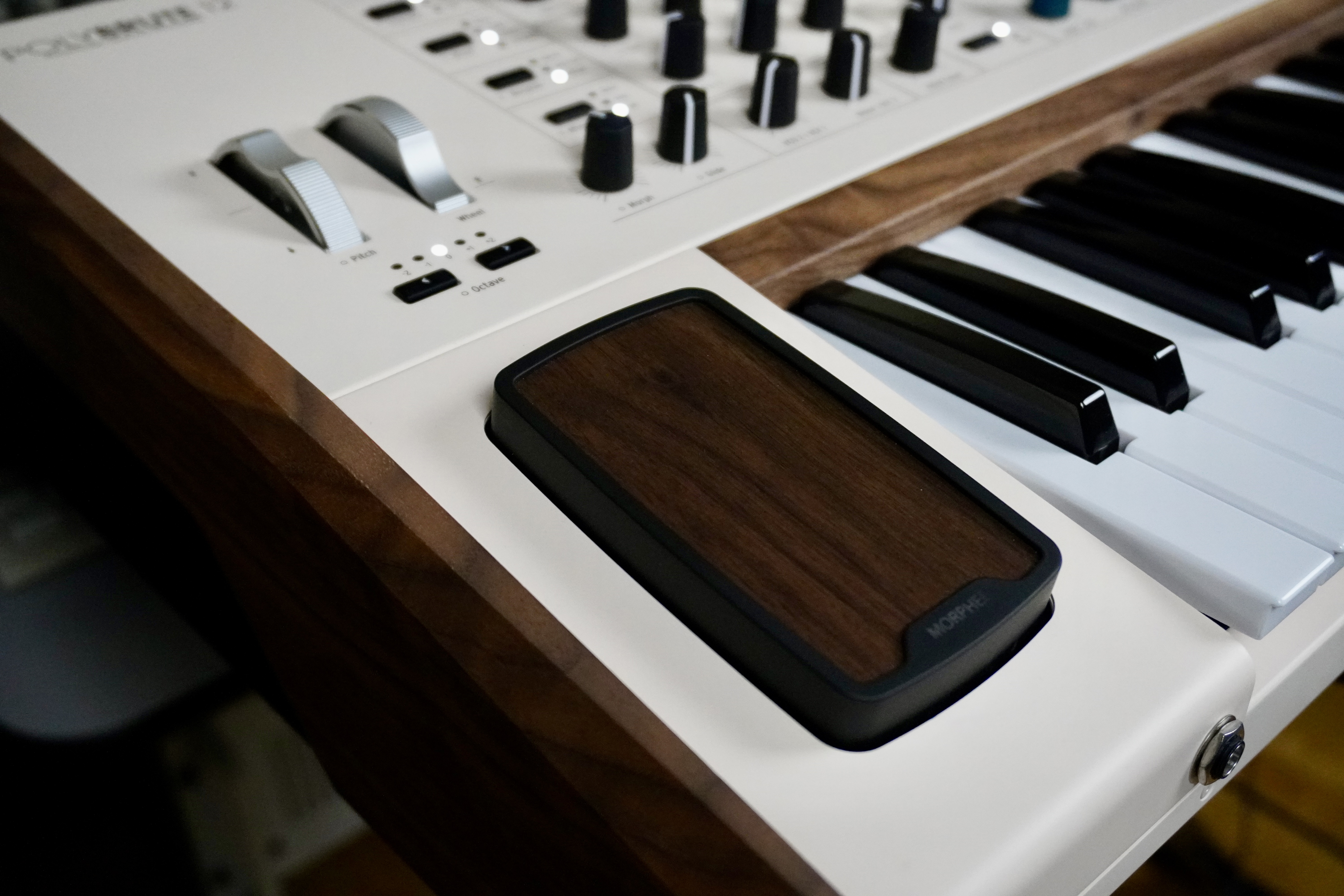 PolyBrute-12 2tof 17 Morph&eacute;e