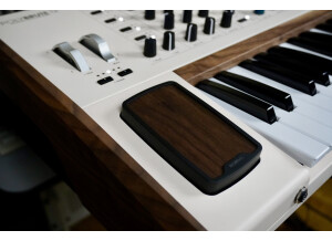 PolyBrute-12 2tof 17 Morphée