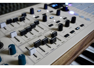 PolyBrute-12 2tof 19 Env LFO