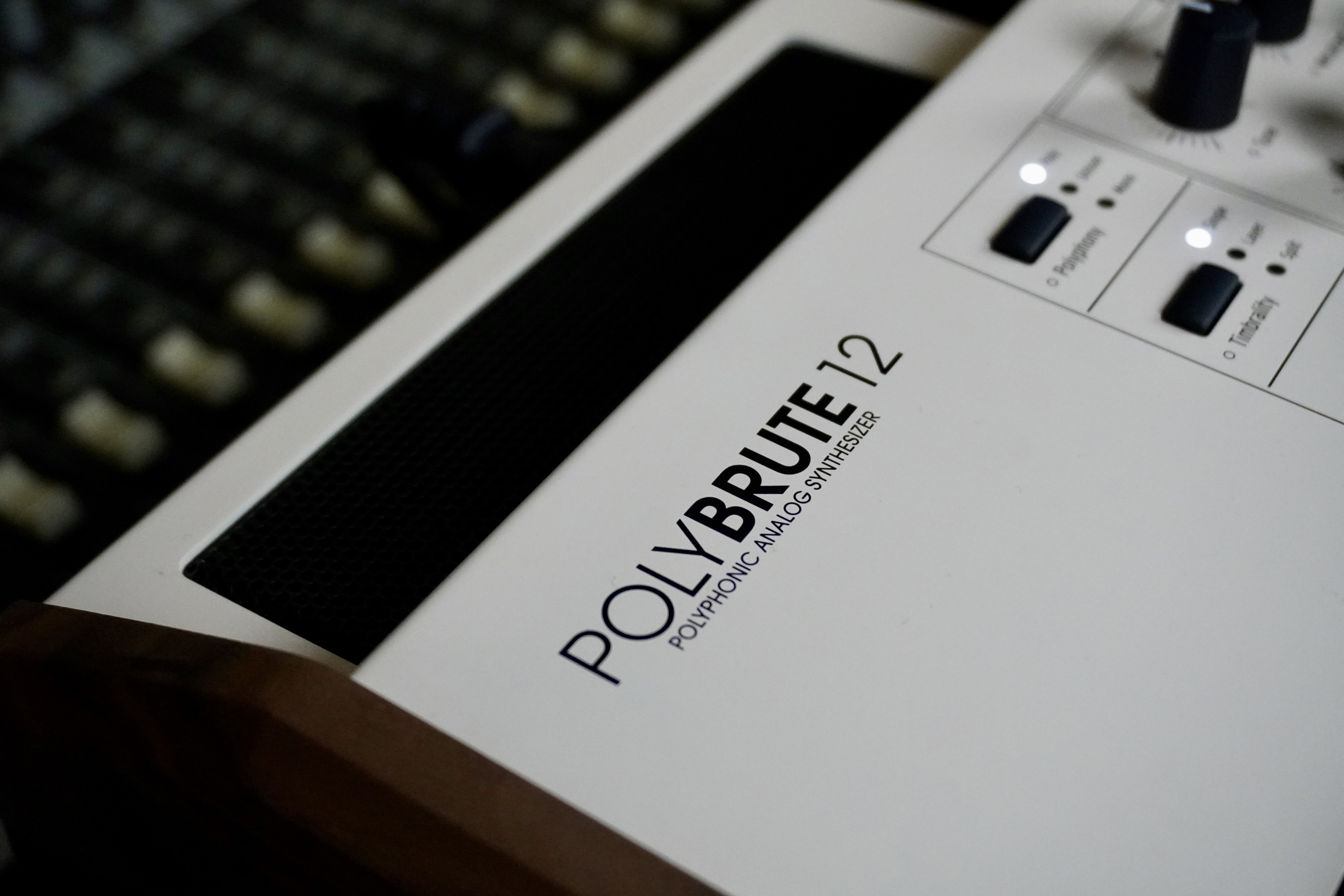 PolyBrute-12 2tof 23 PB12