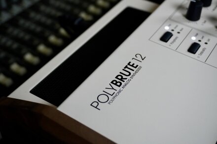 PolyBrute-12 2tof 23 PB12 PolyBrute-12 2tof 23 PB12