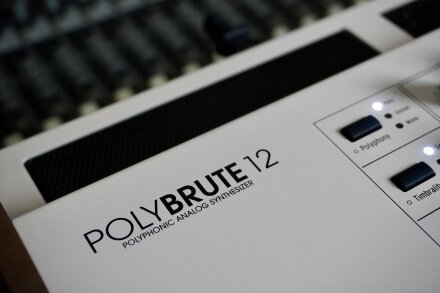 PolyBrute-12 2tof 24 PB12 PolyBrute-12 2tof 24 PB12