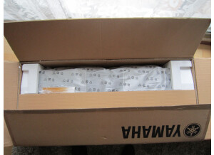 Yamaha PSR-S900 (7819)