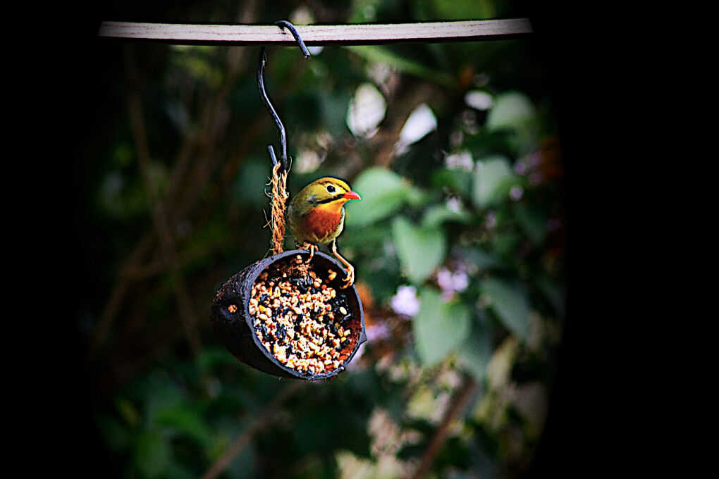 6135618.png 6135618.png