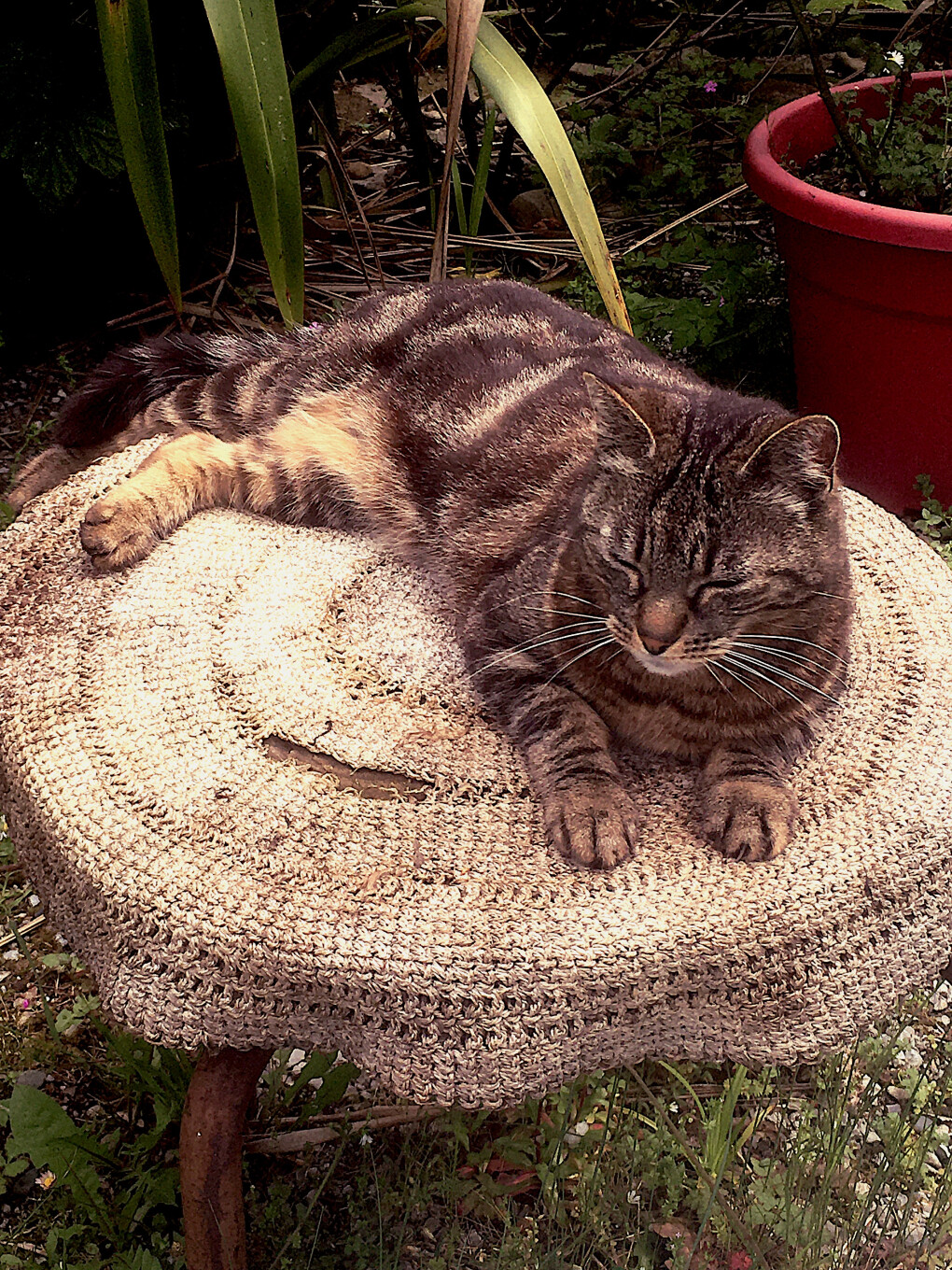 6136557.jpg 6136557.jpg