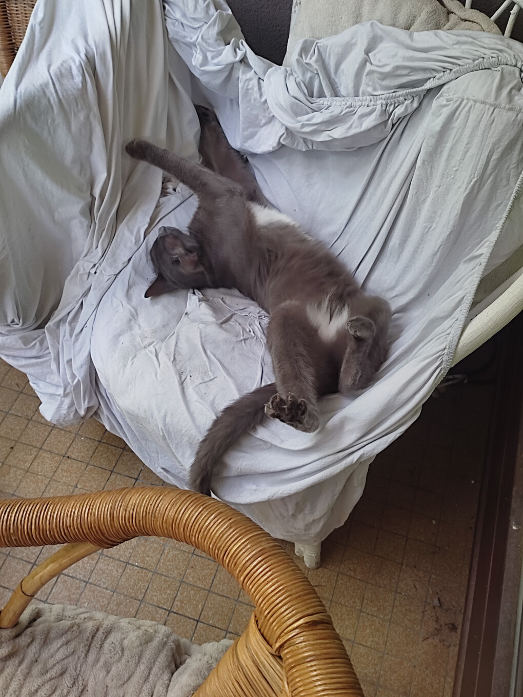 6136641.jpg 6136641.jpg