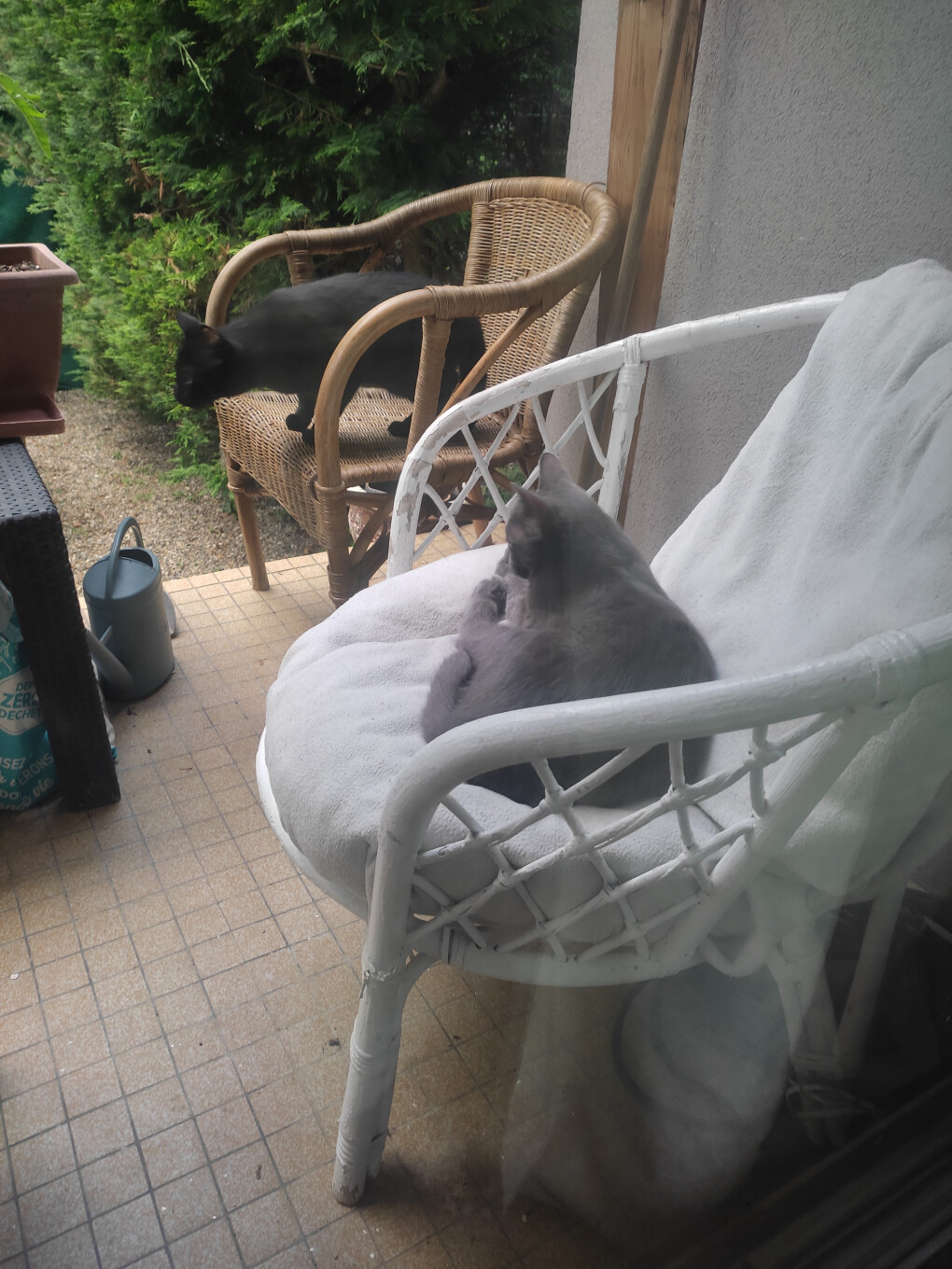 6136642.jpg 6136642.jpg