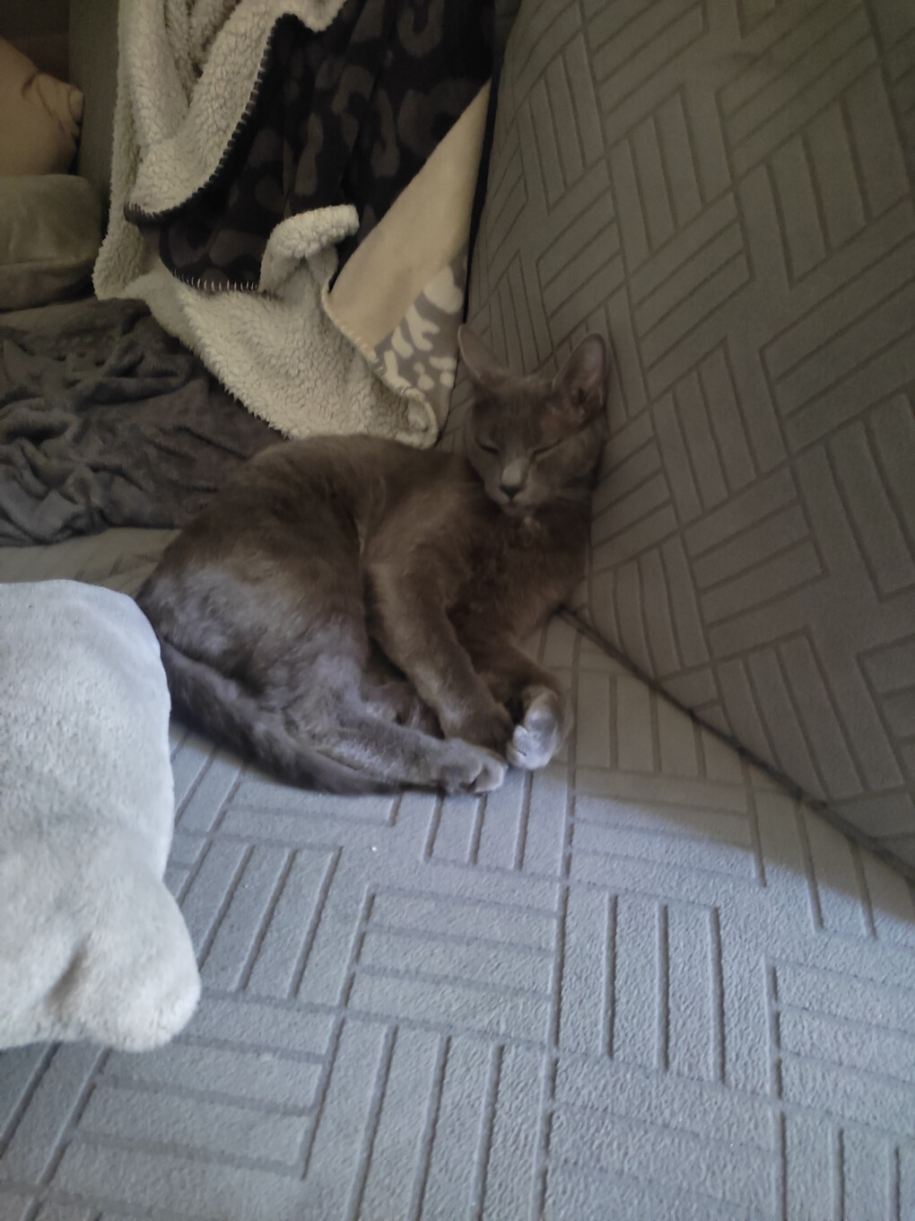 6136643.jpg 6136643.jpg