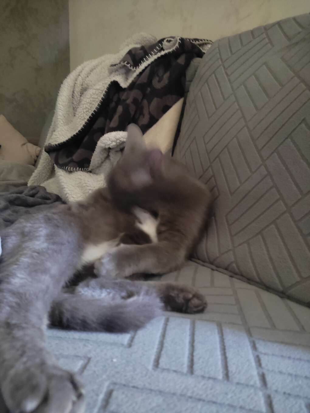 6136644.jpg 6136644.jpg