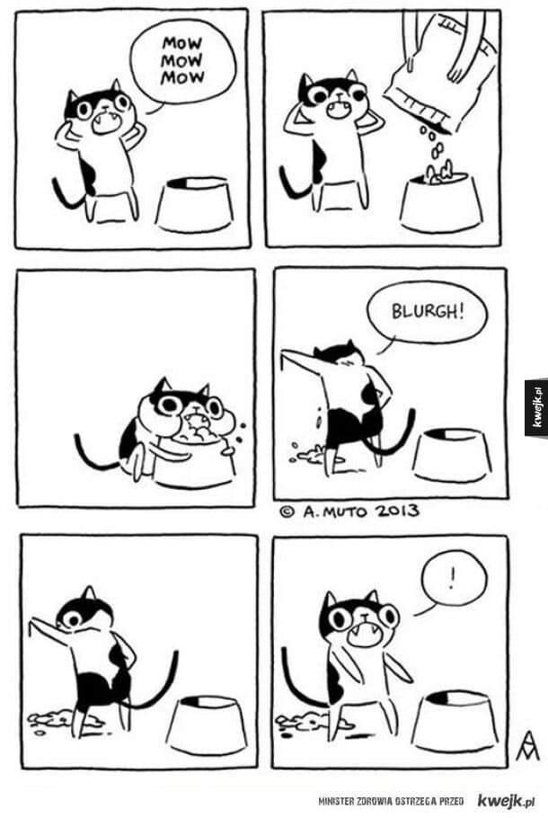 6136666.jpg 6136666.jpg