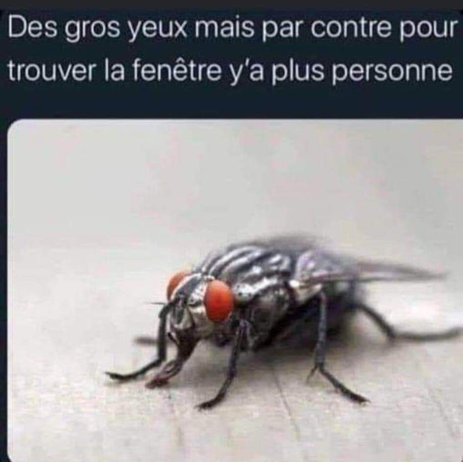 6136756.jpg 6136756.jpg