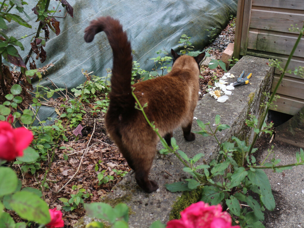 6137279.jpg 6137279.jpg