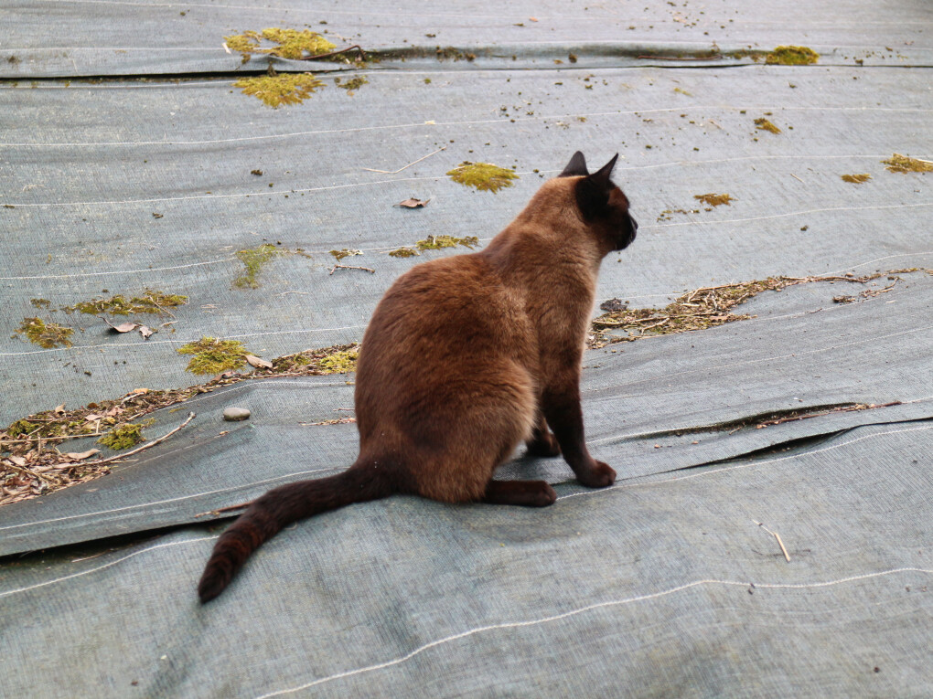 6137280.jpg 6137280.jpg