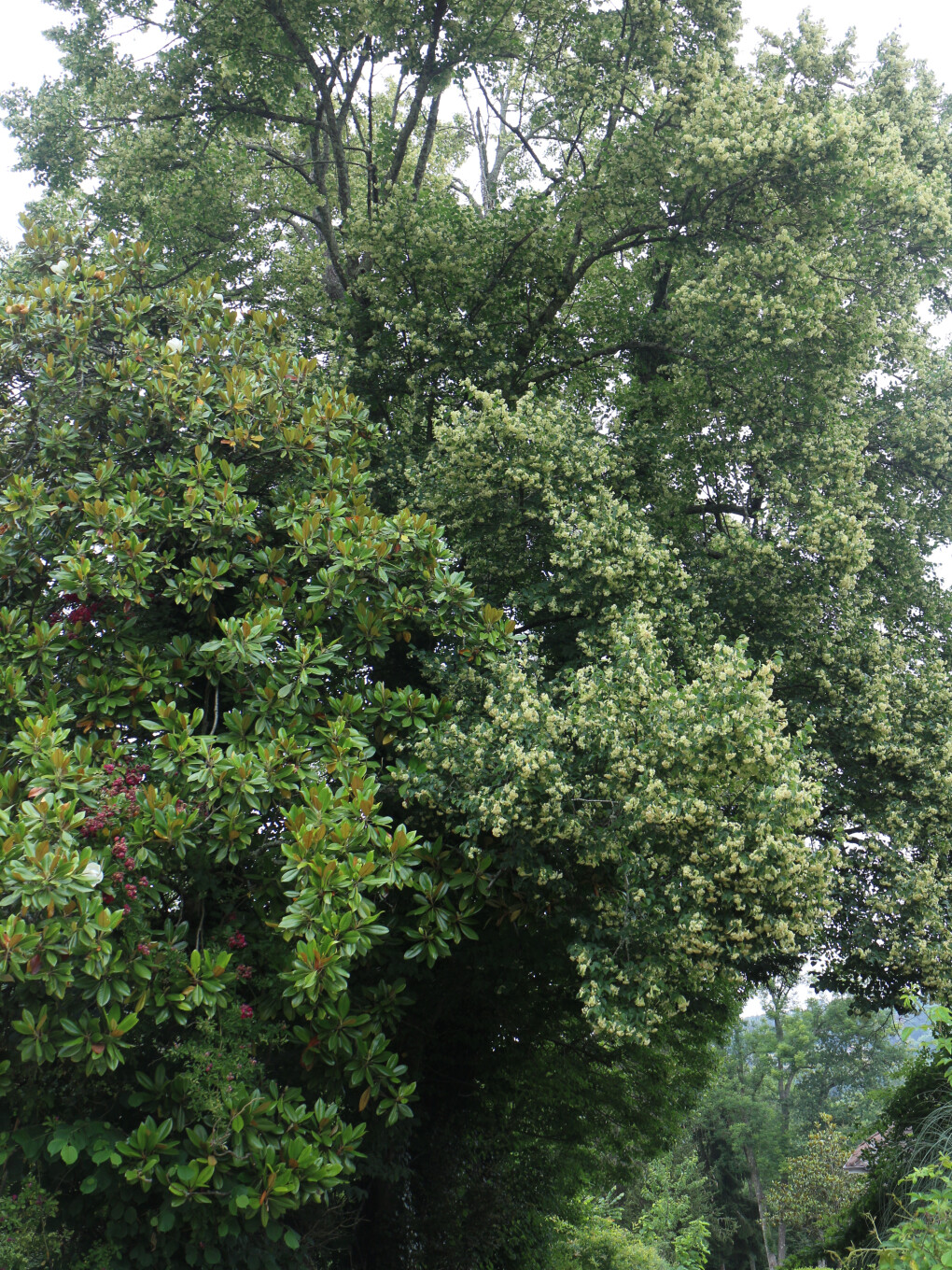 6137290.jpg 6137290.jpg