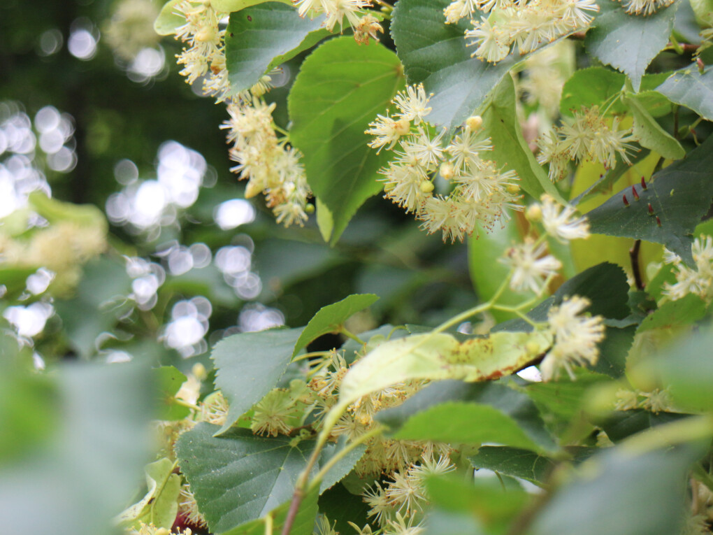 6137291.jpg 6137291.jpg