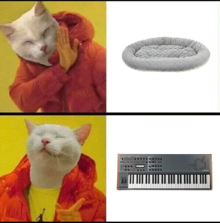 6137380.jpg 6137380.jpg