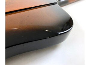 Gibson Thunderbird IV (39609)