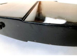 Gibson Thunderbird IV (73624)